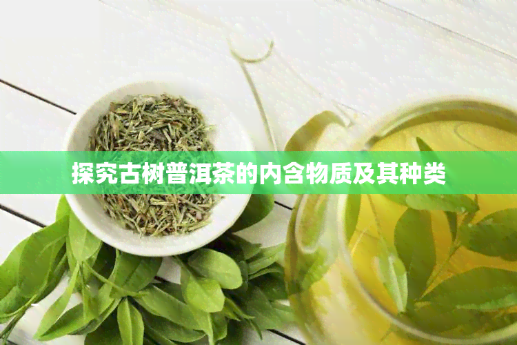 探究古树普洱茶的内含物质及其种类