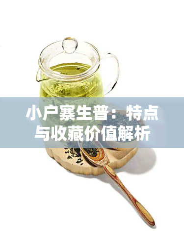 小户寨生普：特点与收藏价值解析