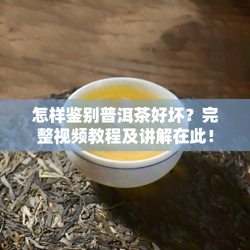 怎样鉴别普洱茶好坏？完整视频教程及讲解在此！