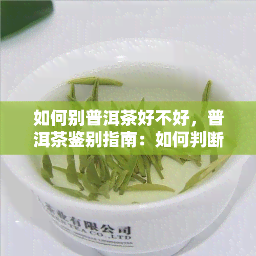 如何别普洱茶好不好，普洱茶鉴别指南：如何判断普洱茶的品质优劣？