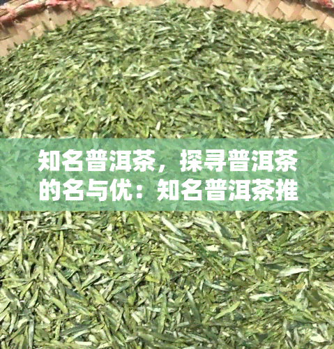 知名普洱茶，探寻普洱茶的名与优：知名普洱茶推荐