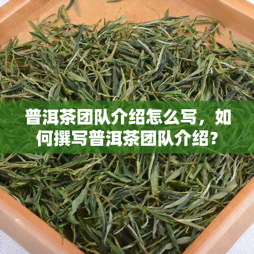 普洱茶团队介绍怎么写，如何撰写普洱茶团队介绍？