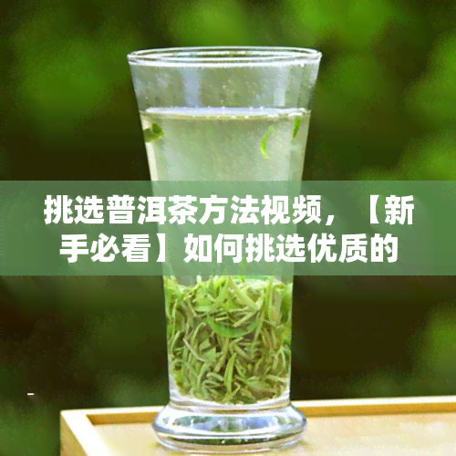 挑选普洱茶方法视频，【新手必看】如何挑选优质的普洱茶？视频教程全解析