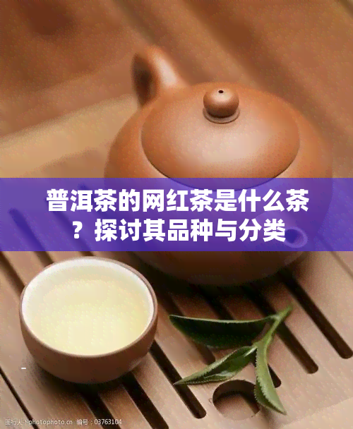 普洱茶的网红茶是什么茶？探讨其品种与分类