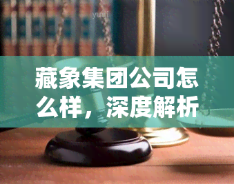 藏象集团公司怎么样，深度解析：藏象集团公司的实力与前景如何？