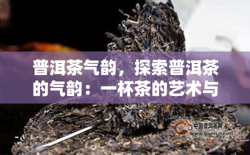 普洱茶气韵，探索普洱茶的气韵：一杯茶的艺术与科学