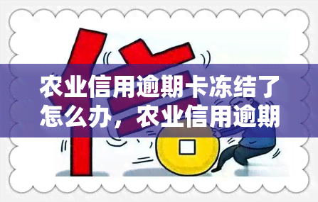 农业信用逾期卡冻结了怎么办，农业信用逾期卡被冻结？如何解决？