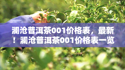 澜沧普洱茶001价格表，最新！澜沧普洱茶001价格表一览