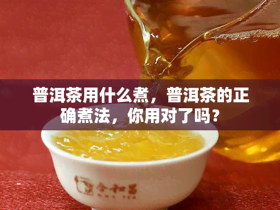 普洱茶用什么煮，普洱茶的正确煮法，你用对了吗？