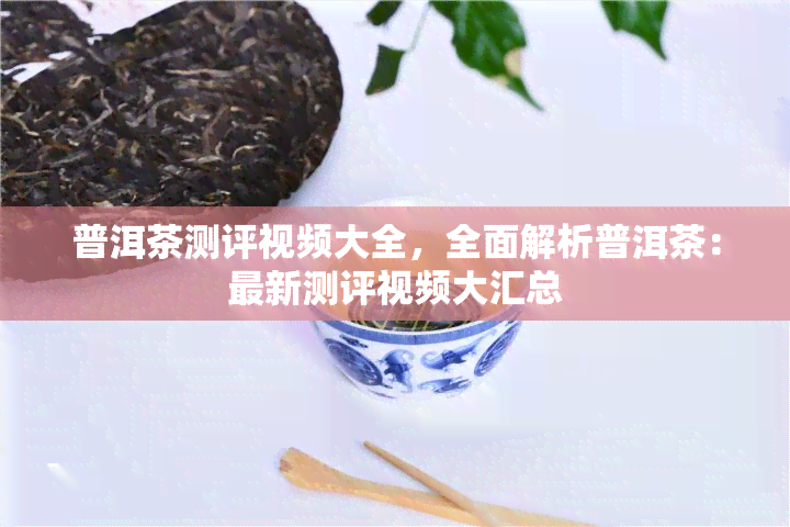 普洱茶测评视频大全，全面解析普洱茶：最新测评视频大汇总