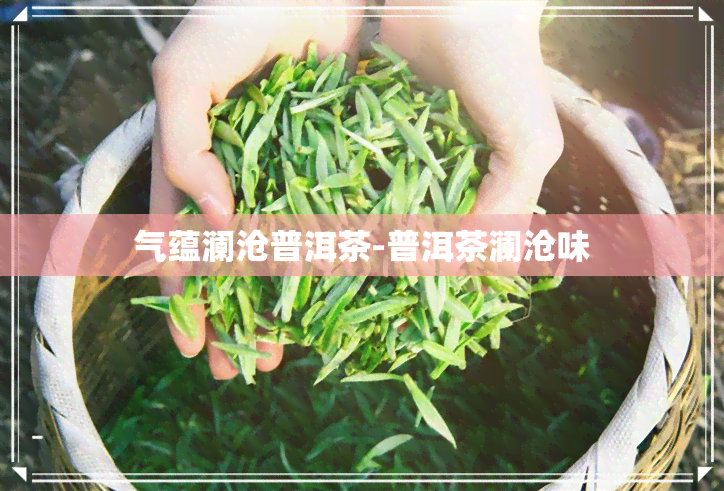 气蕴澜沧普洱茶-普洱茶澜沧味