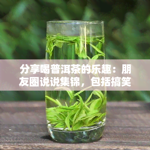 分享喝普洱茶的乐趣：朋友圈说说集锦，包括搞笑和日常