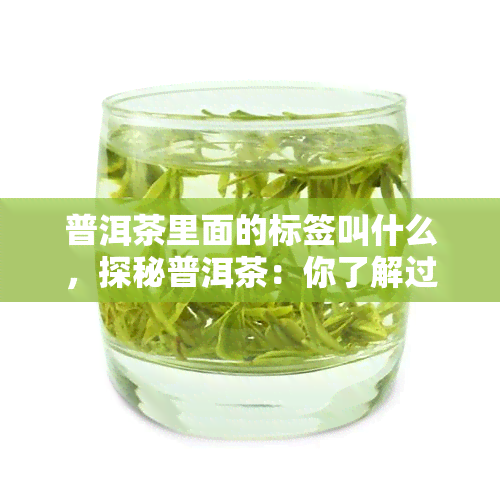 普洱茶里面的标签叫什么，探秘普洱茶：你了解过它的标签吗？