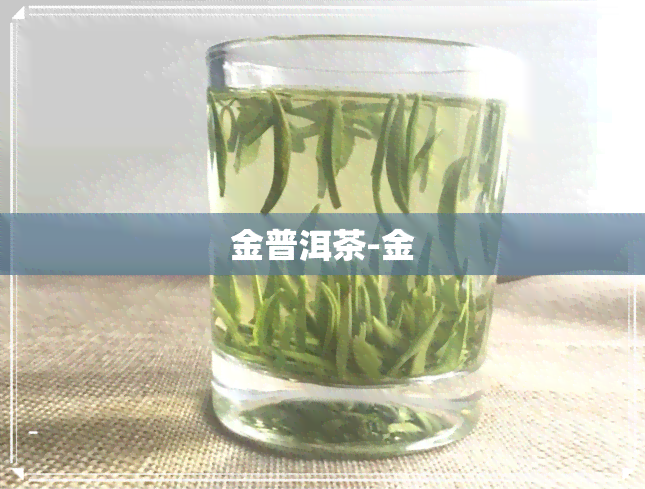 金普洱茶-金