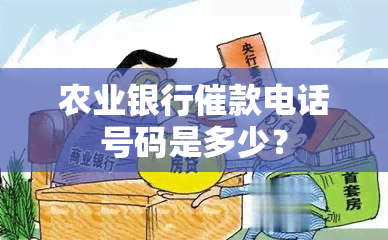 农业银行催款电话号码是多少？