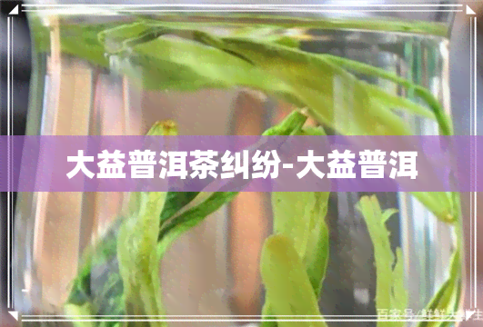 大益普洱茶纠纷-大益普洱