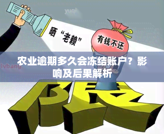 农业逾期多久会冻结账户？影响及后果解析