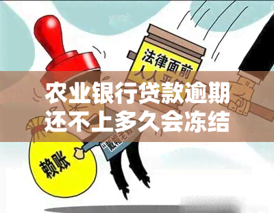 农业银行贷款逾期还不上多久会冻结房子，逾期还款多久会导致农业银行冻结房产？