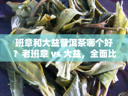 班章和大益普洱茶哪个好？老班章 vs 大益，全面比较！