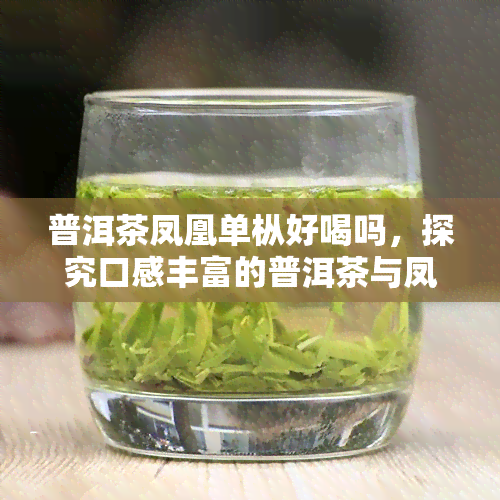 普洱茶凤凰单枞好喝吗，探究口感丰富的普洱茶与凤凰单枞的对决，哪一款更胜一筹？