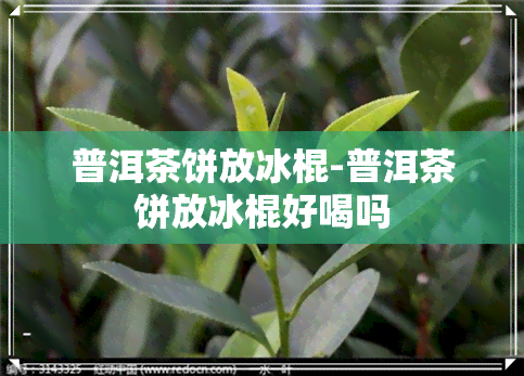 普洱茶饼放冰棍-普洱茶饼放冰棍好喝吗