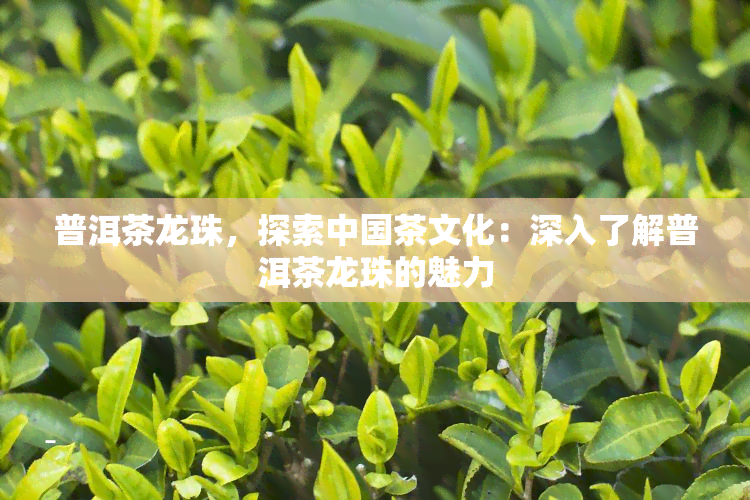 普洱茶龙珠，探索中国茶文化：深入了解普洱茶龙珠的魅力