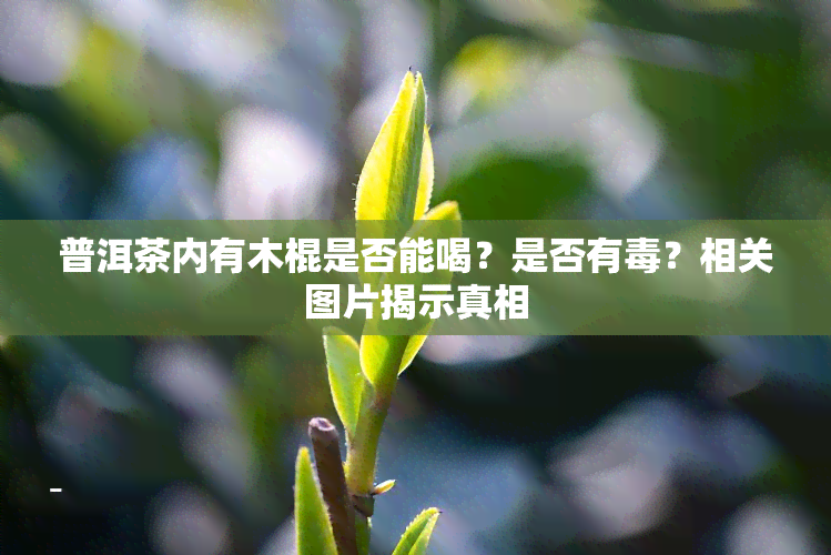 普洱茶内有木棍是否能喝？是否有？相关图片揭示真相