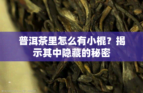 普洱茶里怎么有小棍？揭示其中隐藏的秘密