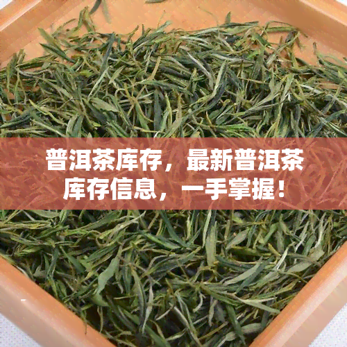 普洱茶库存，最新普洱茶库存信息，一手掌握！