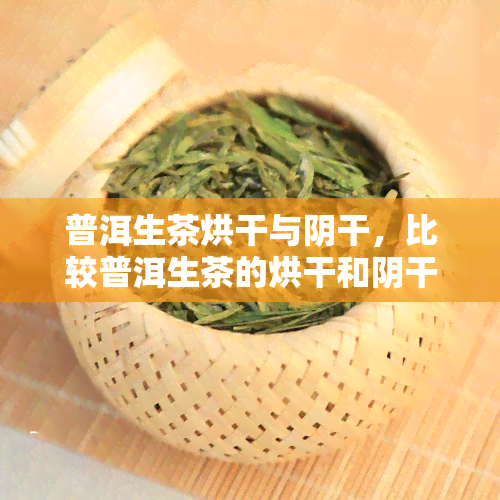 普洱生茶烘干与阴干，比较普洱生茶的烘干和阴干方法：哪种更适合你？