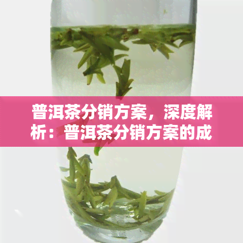 普洱茶分销方案，深度解析：普洱茶分销方案的成功实与策略