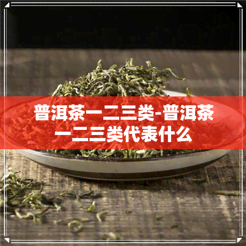 普洱茶一二三类-普洱茶一二三类代表什么