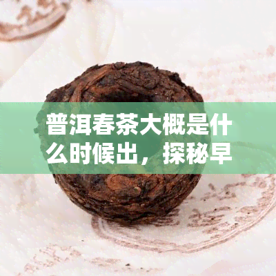 普洱春茶大概是什么时候出，探秘早春美味：普洱春茶何时上市？