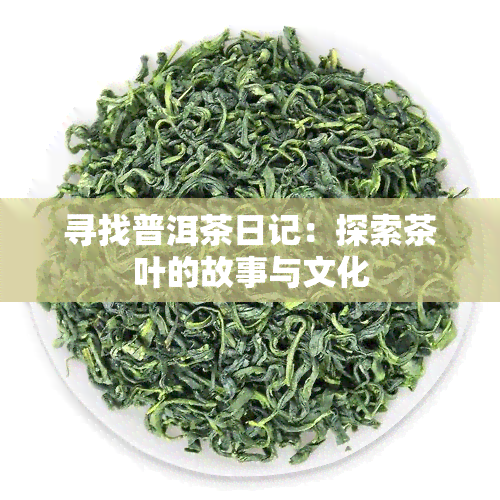 寻找普洱茶日记：探索茶叶的故事与文化