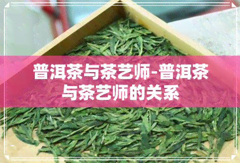 普洱茶与茶艺师-普洱茶与茶艺师的关系