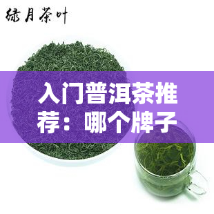 入门普洱茶推荐：哪个牌子？