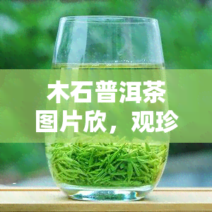 木石普洱茶图片欣，观珍稀木石普洱茶的独特魅力——精美图片欣