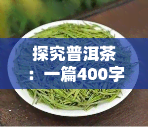 探究普洱茶：一篇400字的作文