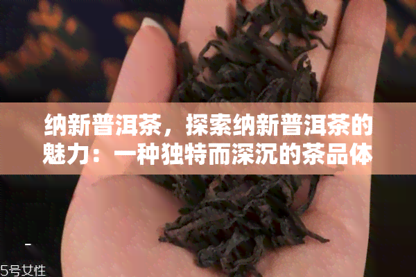 纳新普洱茶，探索纳新普洱茶的魅力：一种独特而深沉的茶品体验