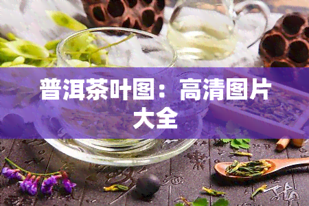 普洱茶叶图：高清图片大全