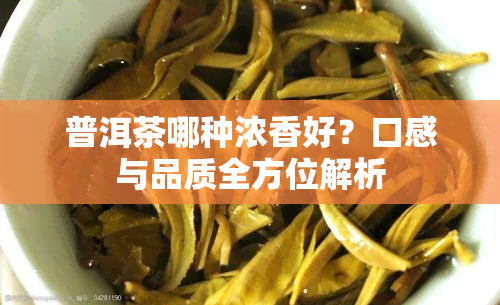 普洱茶哪种浓香好？口感与品质全方位解析