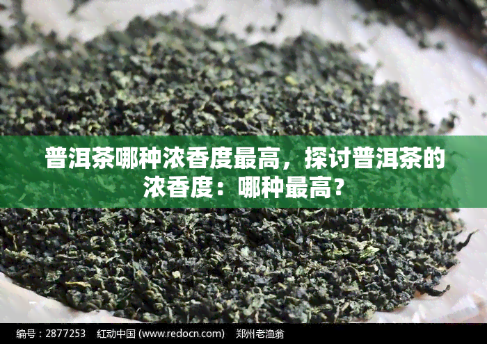 普洱茶哪种浓香度更高，探讨普洱茶的浓香度：哪种更高？