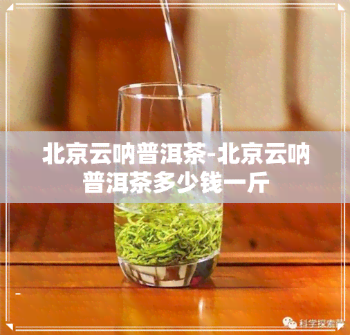 北京云呐普洱茶-北京云呐普洱茶多少钱一斤