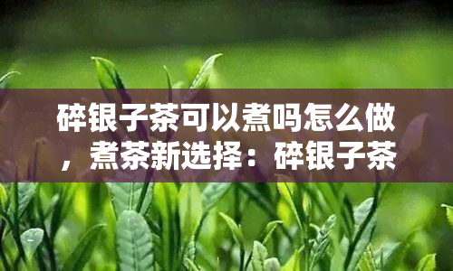 碎银子茶可以煮吗怎么做，煮茶新选择：碎银子茶的正确冲泡方法