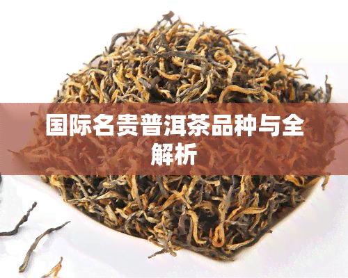 国际名贵普洱茶品种与全解析