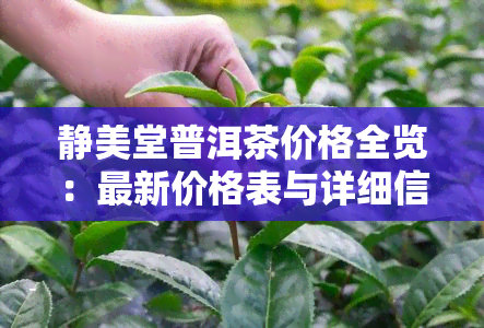 静美堂普洱茶价格全览：最新价格表与详细信息