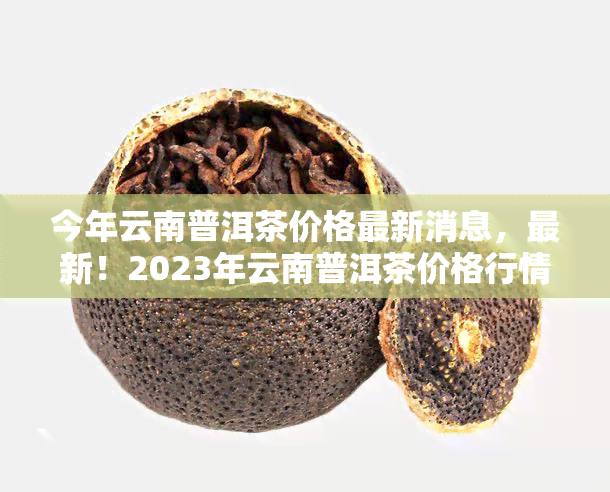 今年云南普洱茶价格最新消息，最新！2023年云南普洱茶价格行情报告