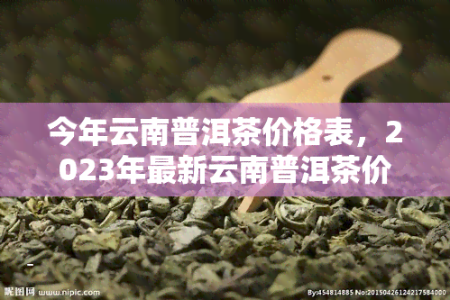 今年云南普洱茶价格表，2023年最新云南普洱茶价格一览表