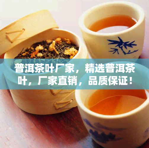 普洱茶叶厂家，精选普洱茶叶，厂家直销，品质保证！