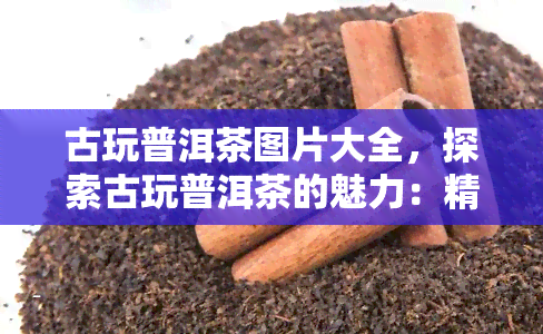 古玩普洱茶图片大全，探索古玩普洱茶的魅力：精美图片大全解析